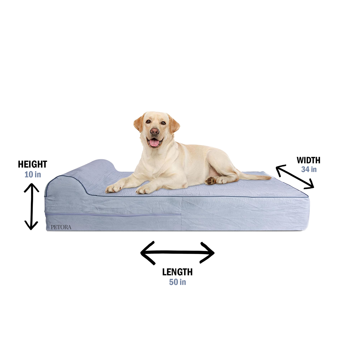 Nora - Memory Foam Dog Bed