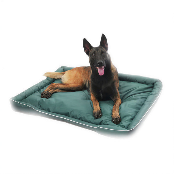 Amara - Indestructible Comfy Dog Bed